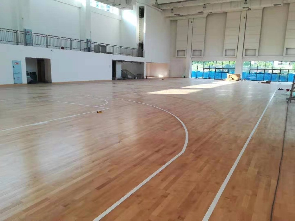臨海籃球場運動木丝瓜视频在线观看免费